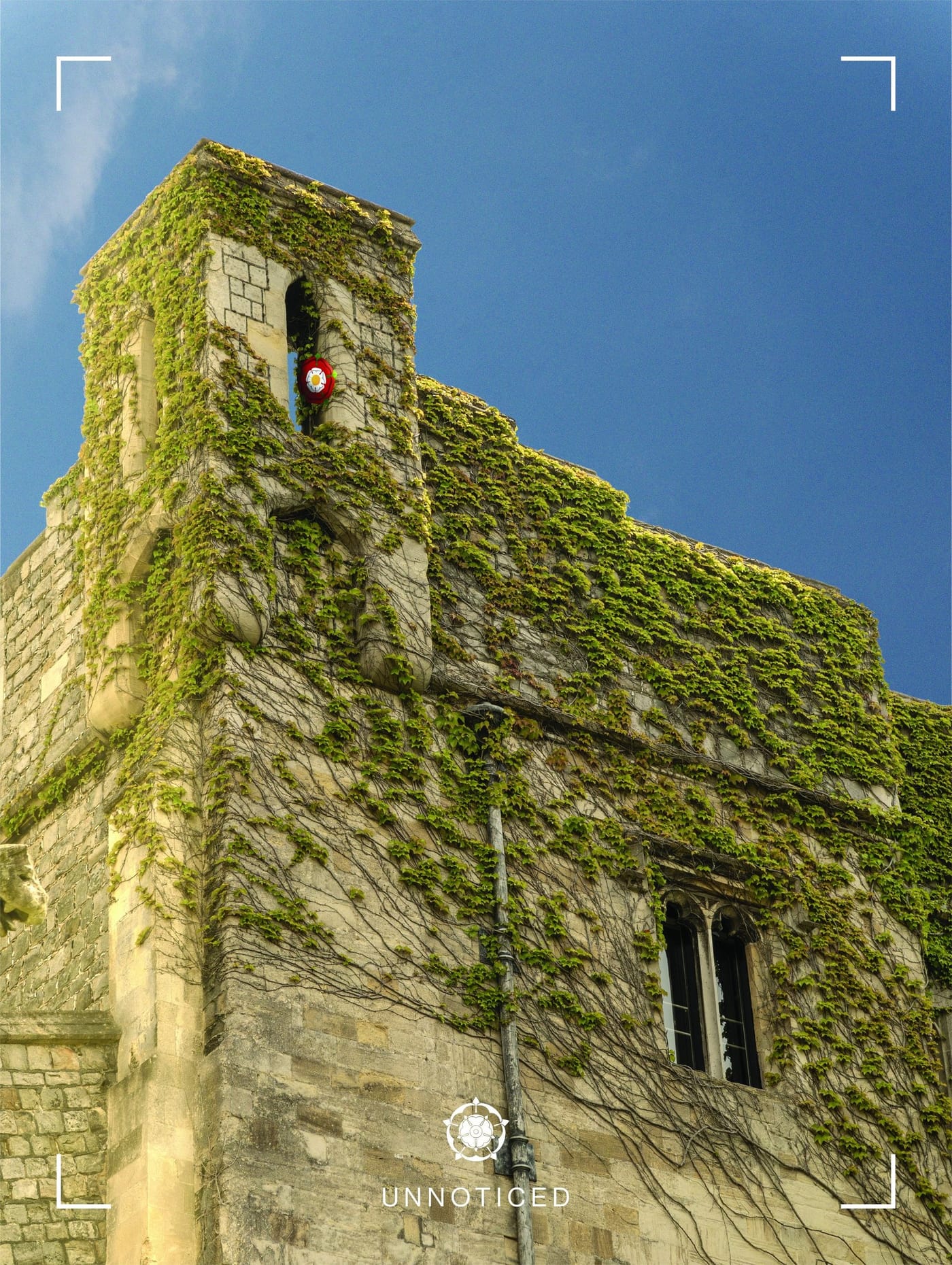 Print titled Unnoticed: a stone tower covered in green ivy against a deep blue sky, with a red wreath in one window.