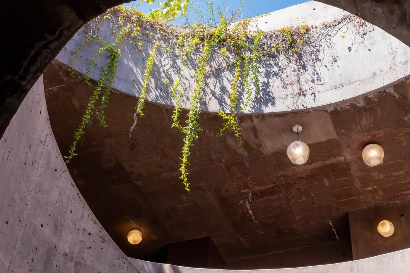 Looking up through a concrete oculus: vines hang into a rotunda lit by round glass pendant lamps.