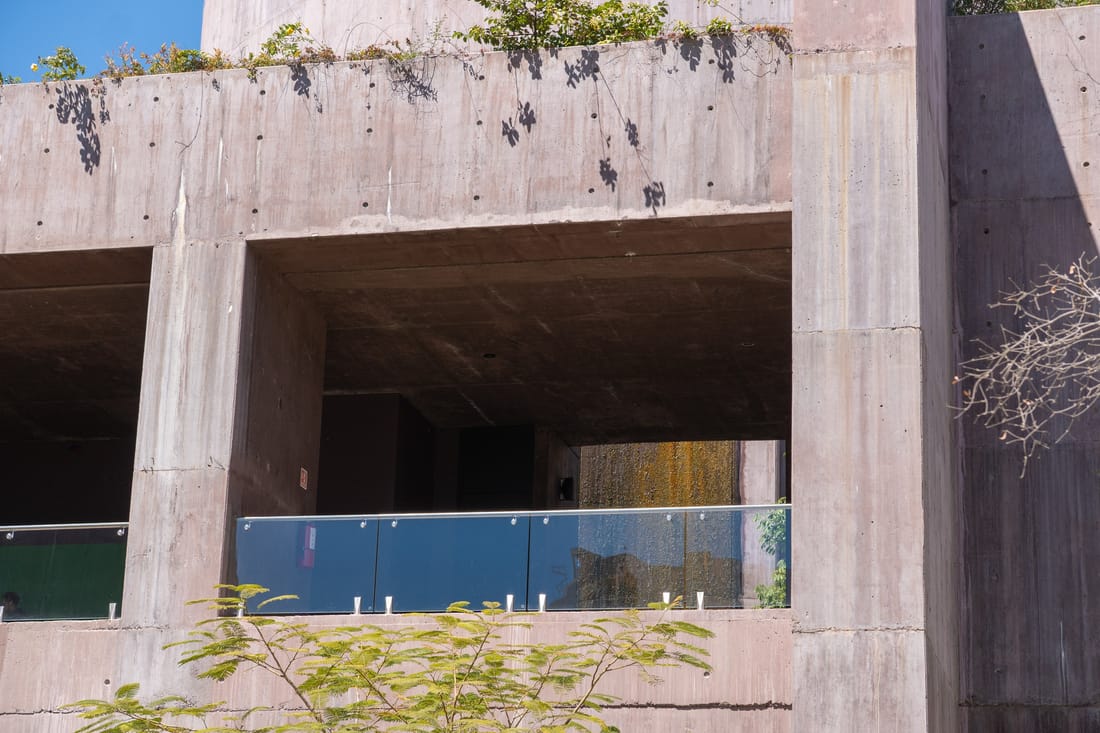 Concrete balcony with a glass railing, vine shadows falling across the wall above and green leaves in the foreground.