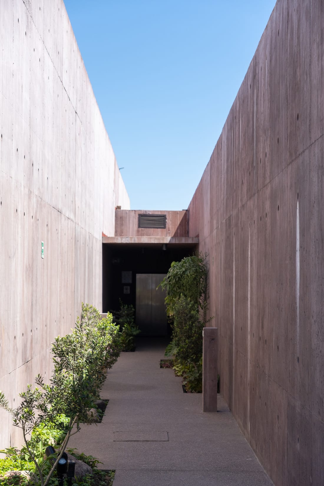 A tall, narrow walkway between pink concrete walls leading to a dark doorway, with plants along the path and a strip of sky overhead.