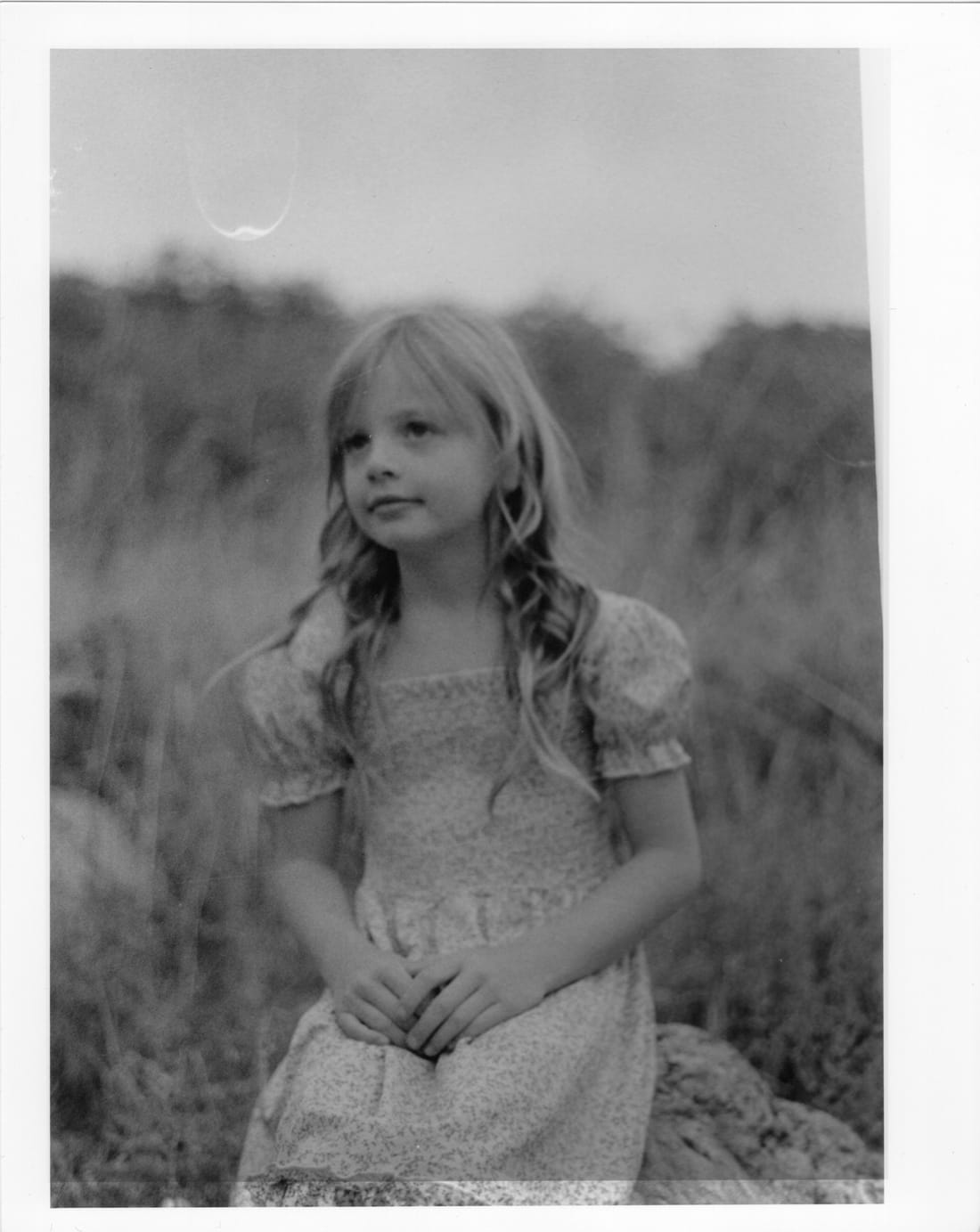 Print of a young girl with long hair in a floral dress, sitting on a rock in tall grass.