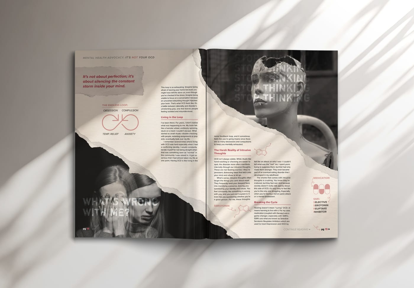 The second spread in the same light, slower, with room for the facts.